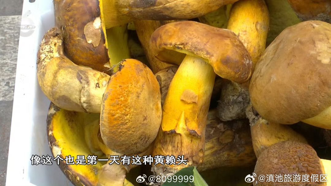 滇池旅游度假区