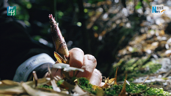 云南省文化和旅游厅