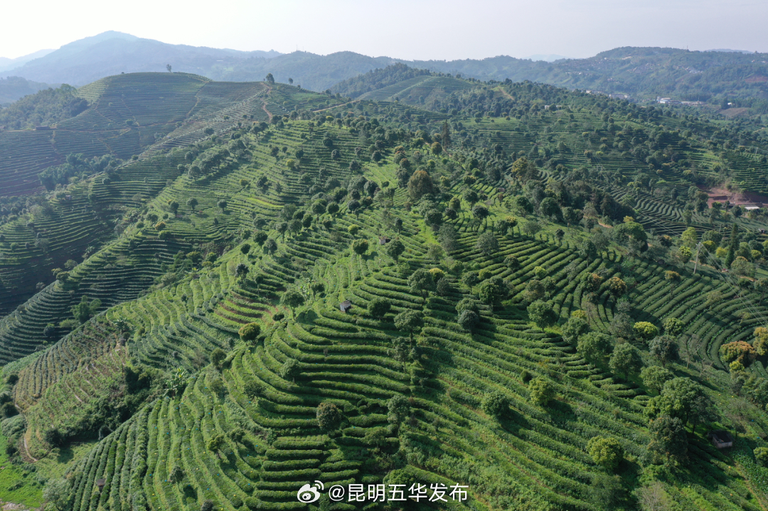 昆明五华发布
