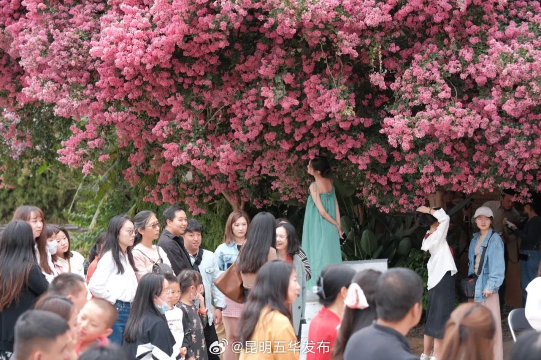 昆明五华发布
