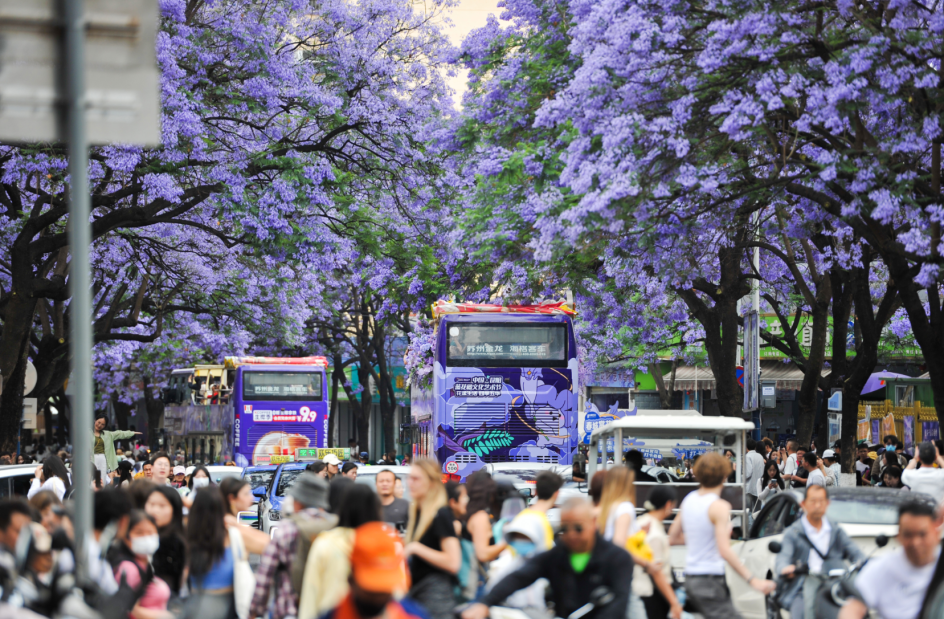 云南省文化和旅游厅