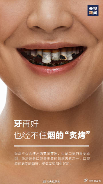 呈贡发布