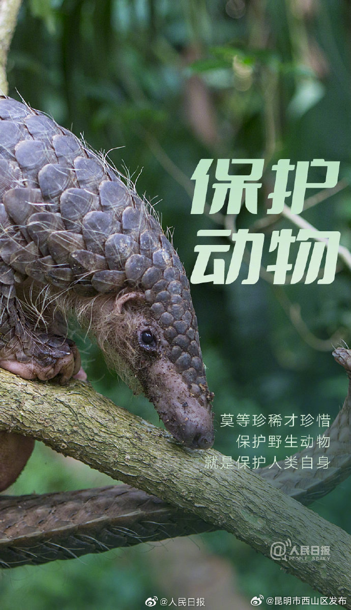 昆明市西山区发布