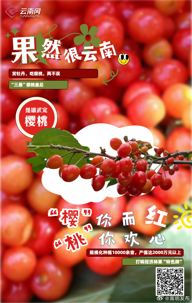 “果”然很云南 |“早春第一果”唤醒你的春日味蕾