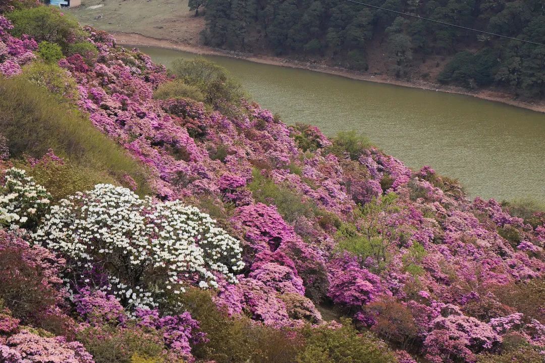 云南省文化和旅游厅