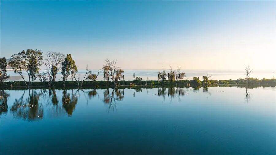 云南省文化和旅游厅