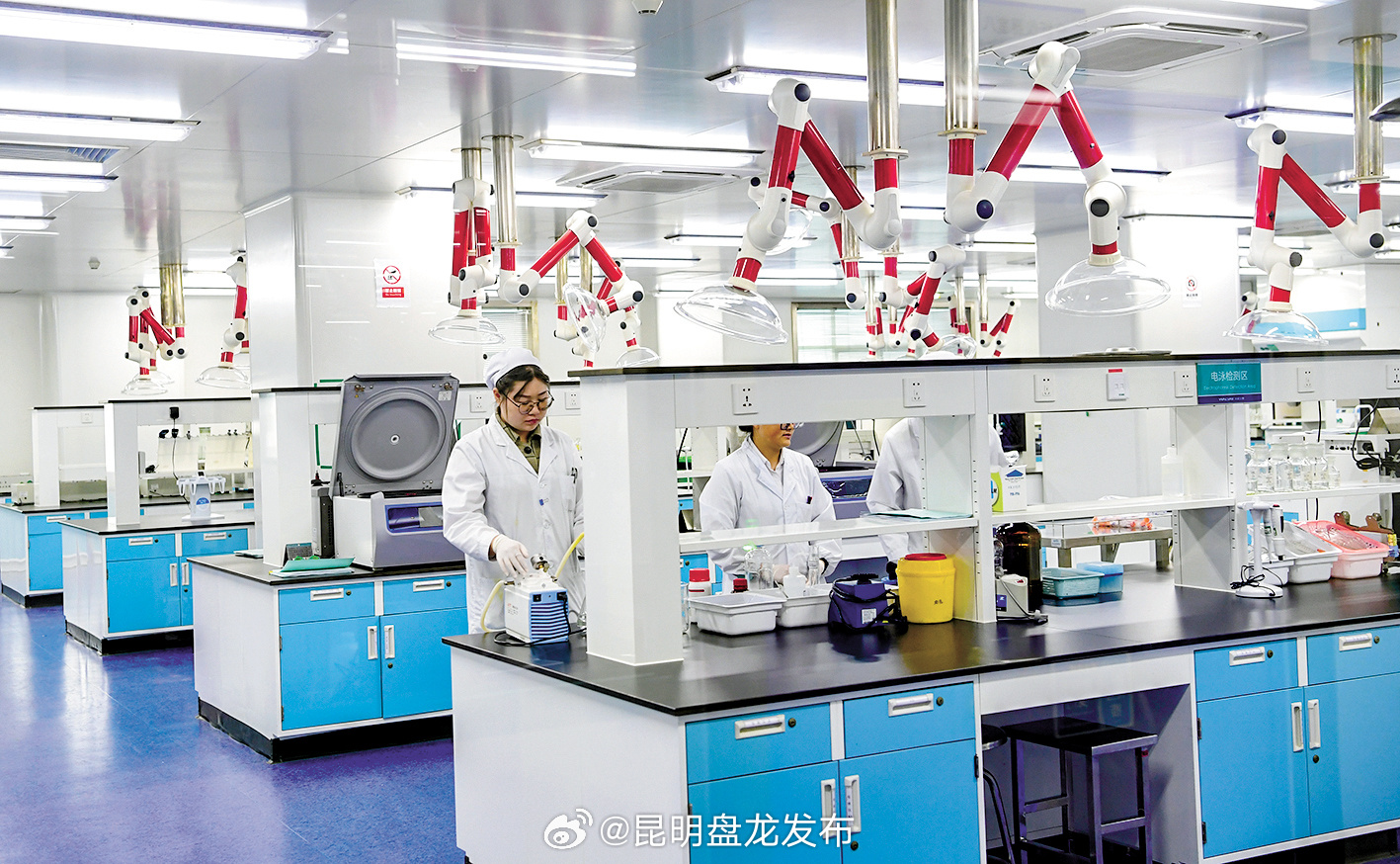 以市场为导向，以创新为动力，以企业为主体——玉溪建设“三品”战略示范城市这样干