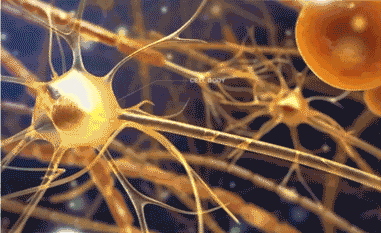 大脑缺血缺氧1分钟190万个神经元死亡