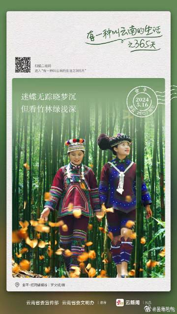 迷蝶无踪晓梦沉 但看竹林绿浅深——有一种叫云南的生活之365天