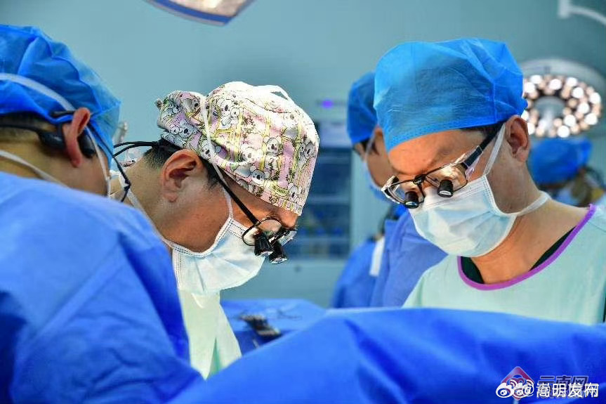 世界首例猪-人肝肾联合异种移植在昆明完成
