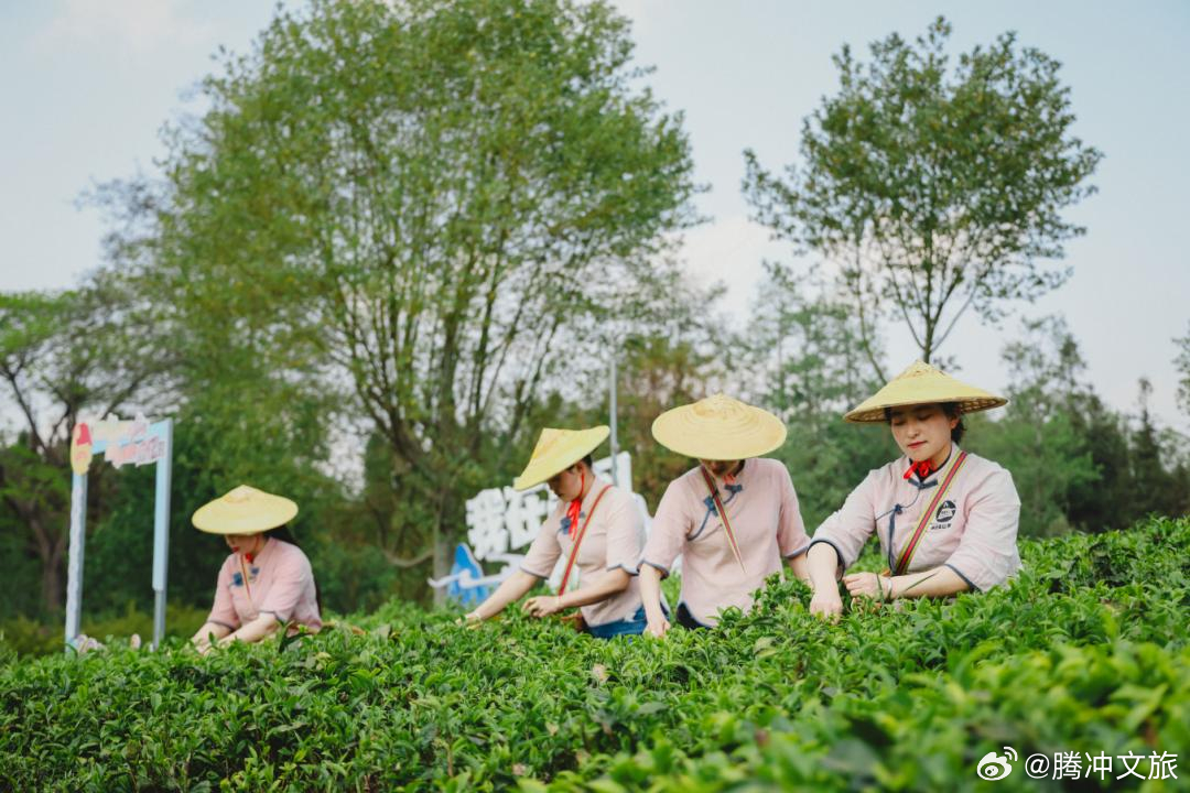 腾冲文旅