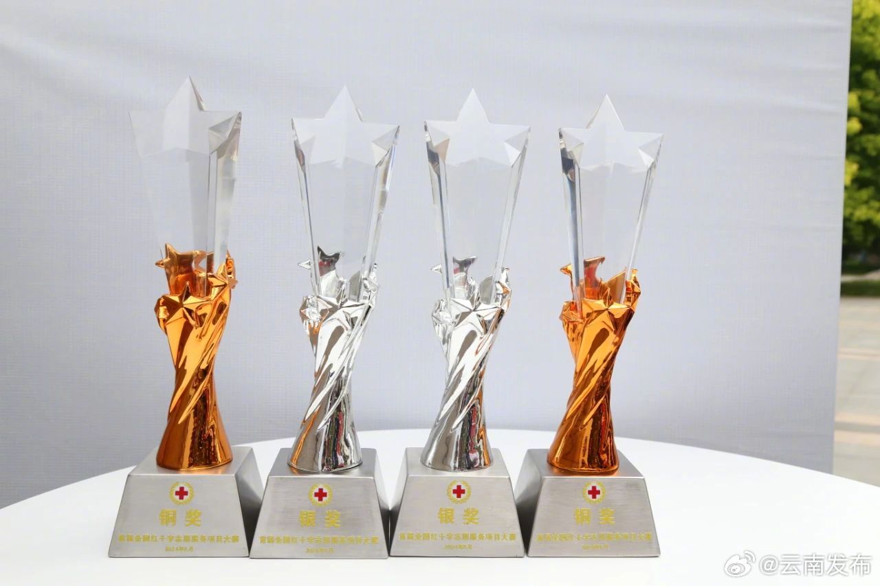 云南4个项目在首届全国红十字志愿服务项目大赛中获佳绩