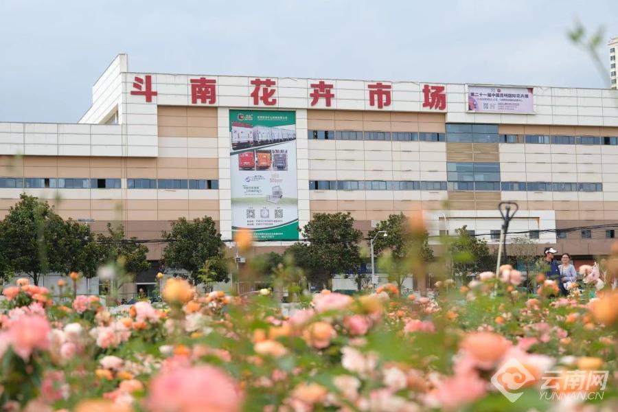 云南省文化和旅游厅