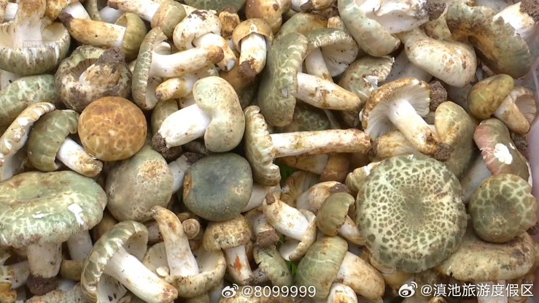 滇池旅游度假区