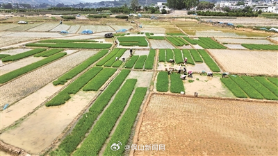 保山新闻网