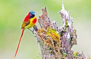 昆明发布