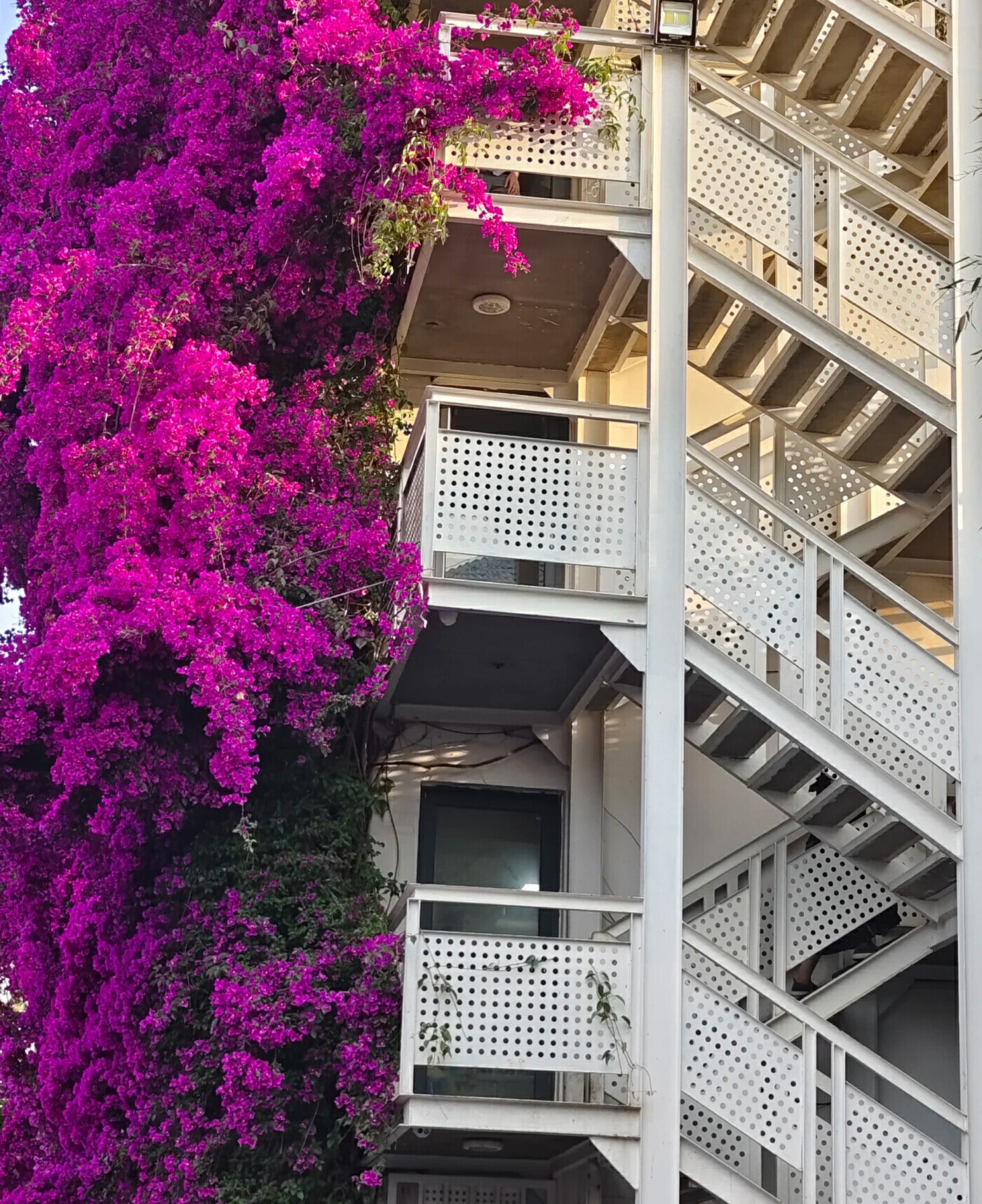 云南省文化和旅游厅