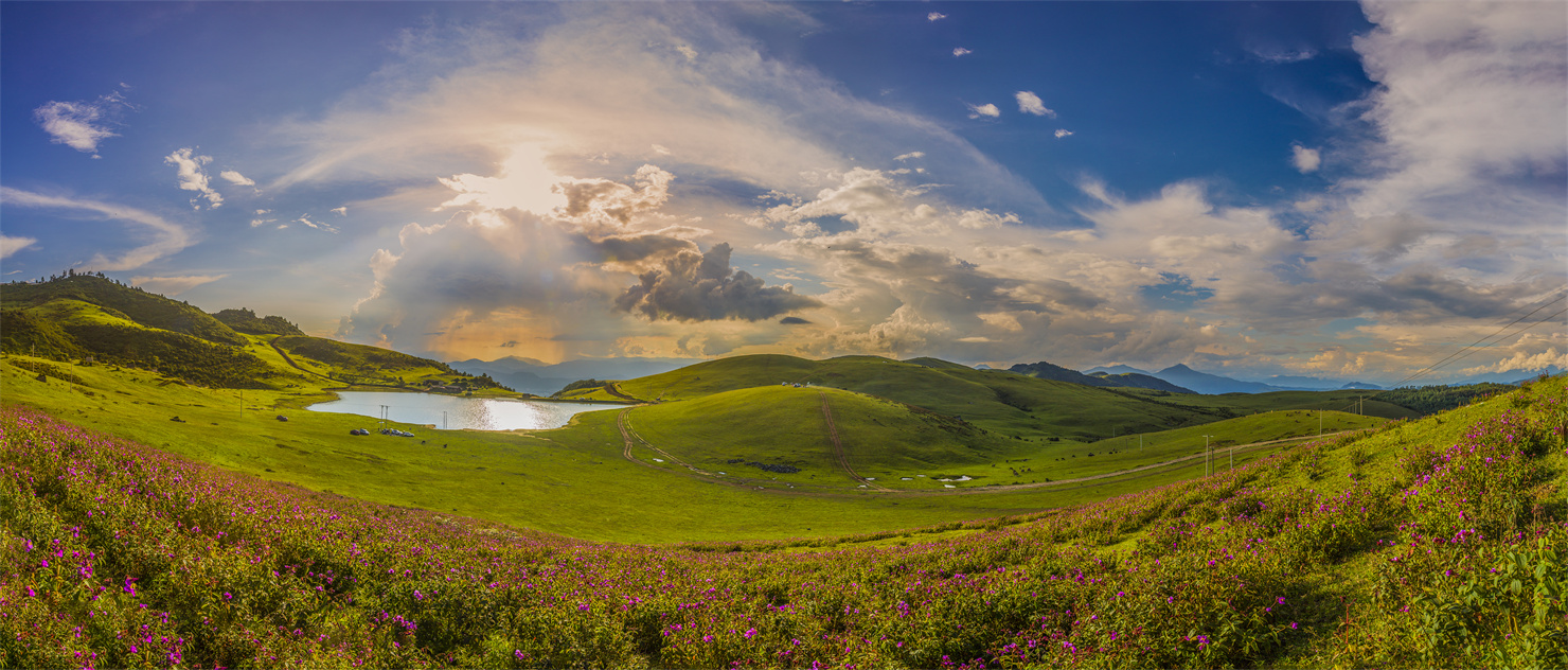 云南省文化和旅游厅