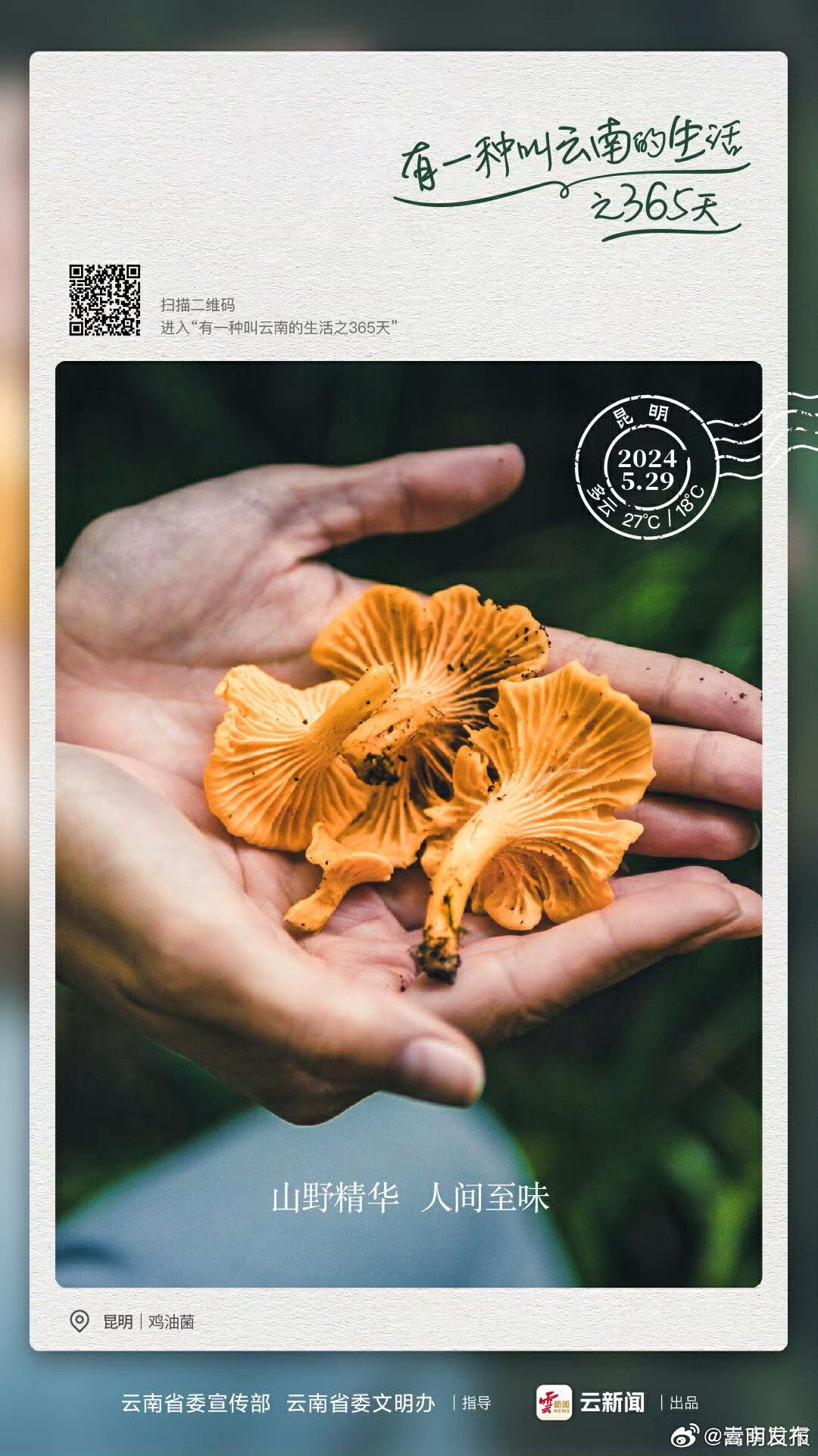 云南“顶流”回归——有一种叫云南的生活之365天