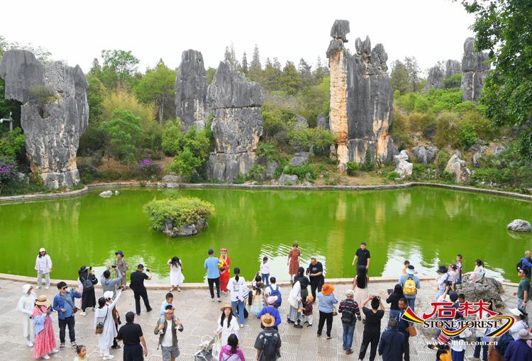 石林旅游网