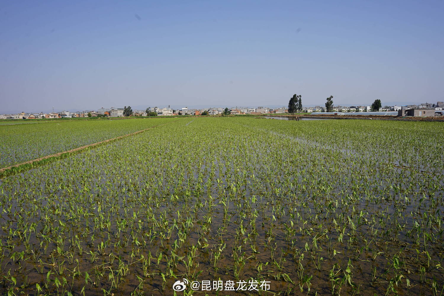 陆良太平社区：养老服务从“有保障”迈向“有质量”