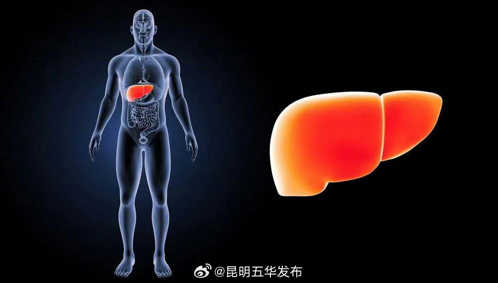 为什么肝癌一发现多是晚期