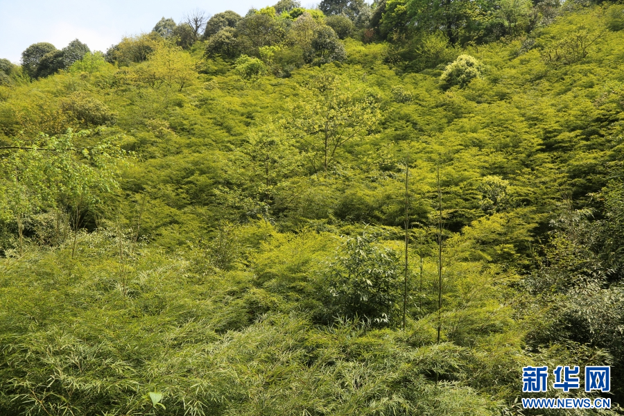 云南省文化和旅游厅