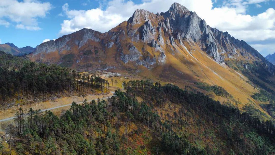 云南省文化和旅游厅
