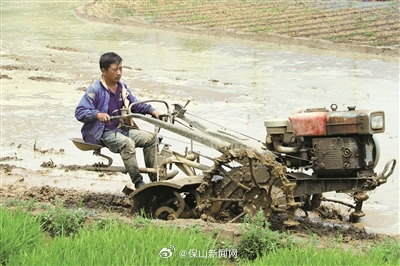 保山新闻网