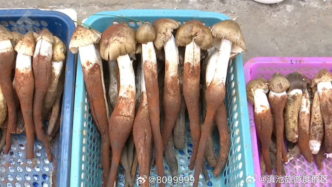 滇池旅游度假区