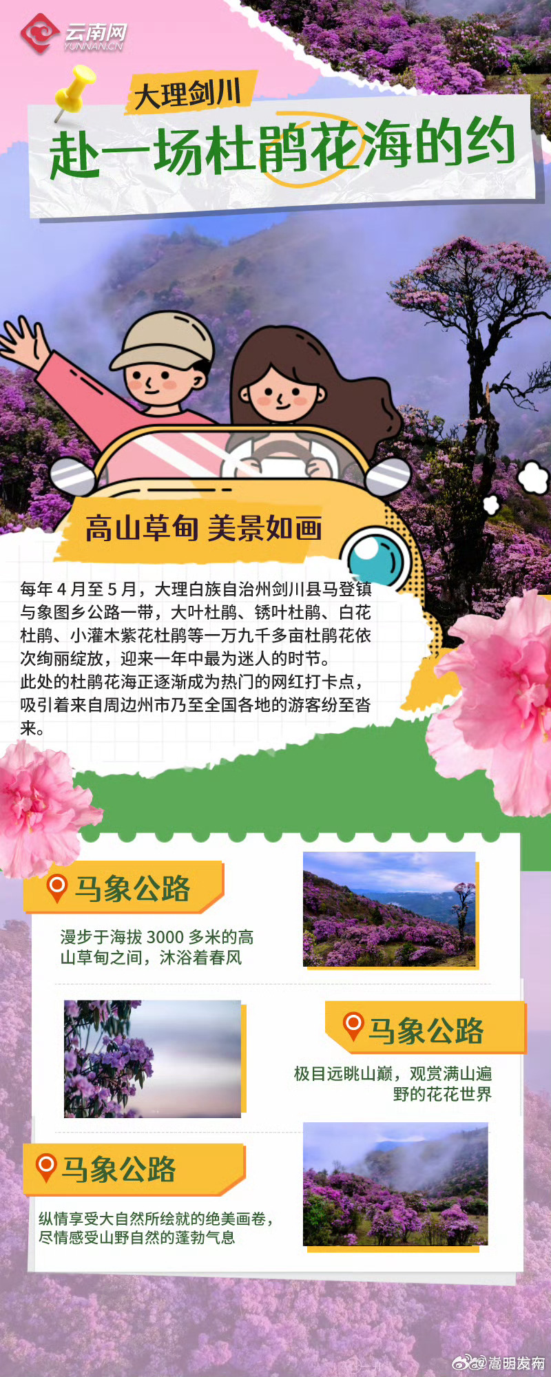嵩明发布