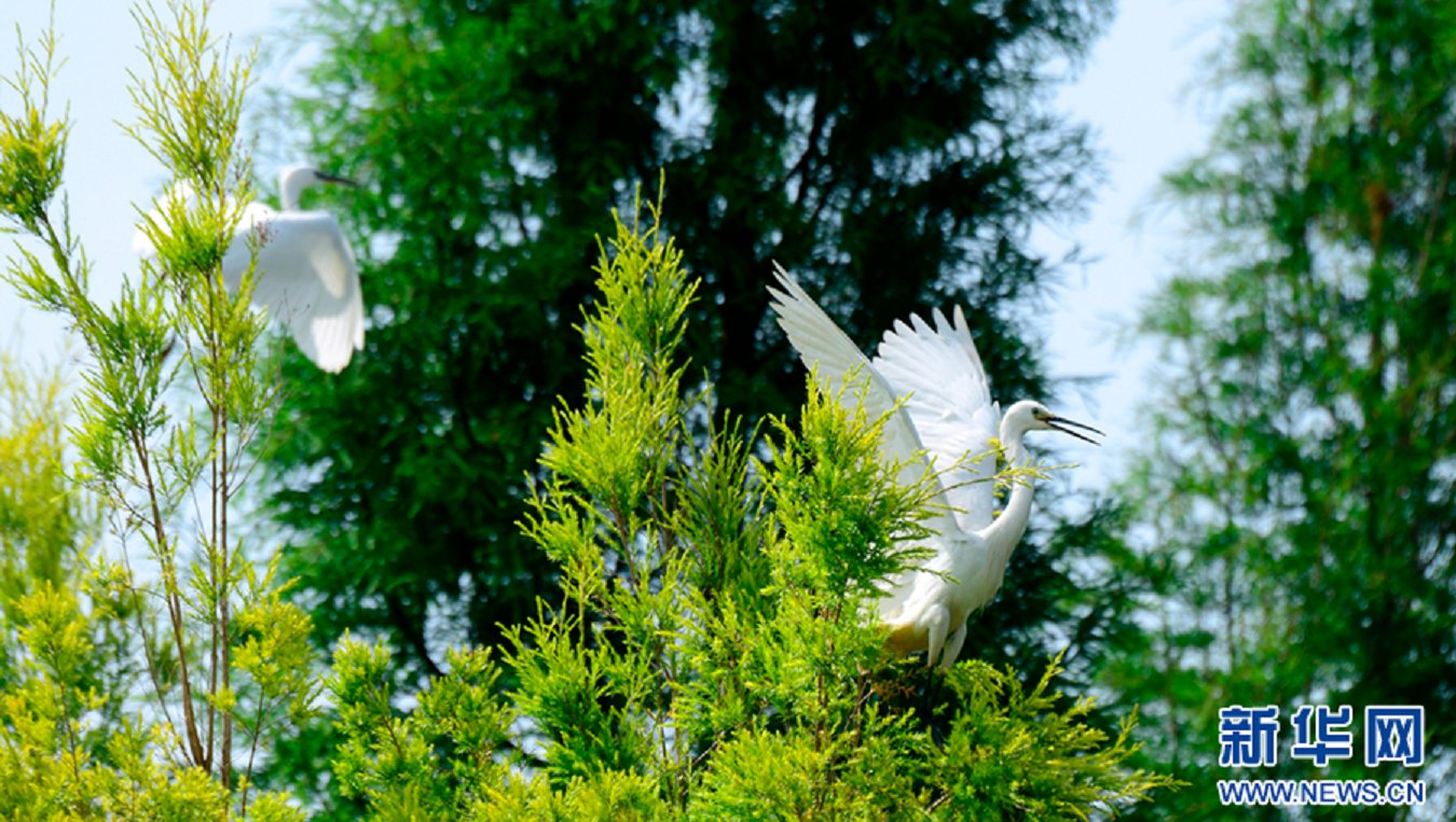 云南省文化和旅游厅