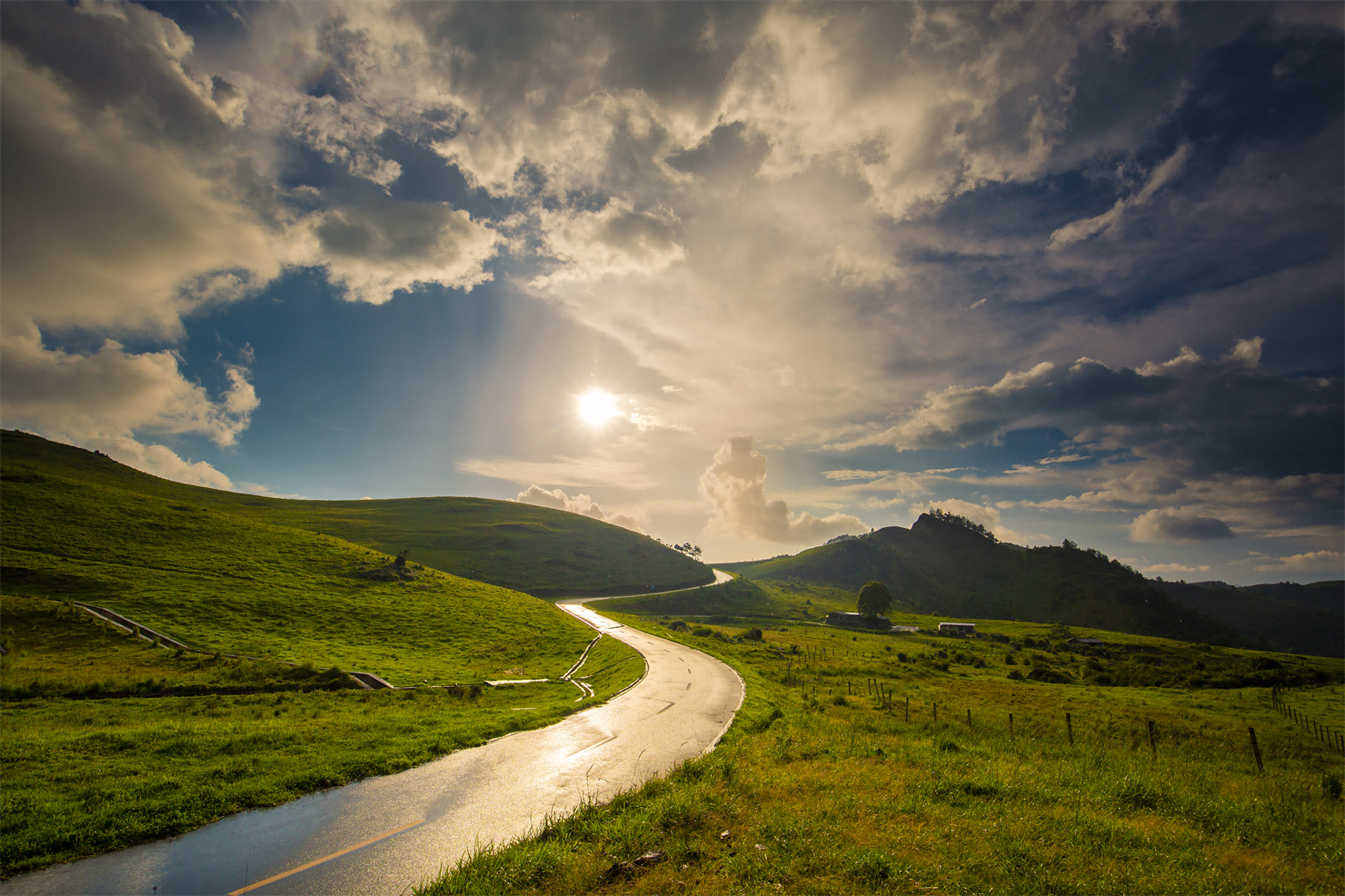 云南省文化和旅游厅