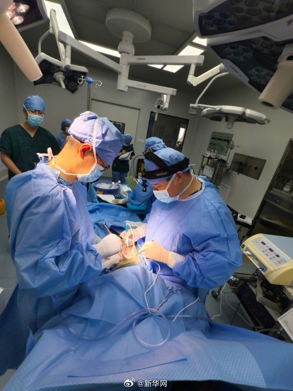 世界首例！猪到人的临床辅助异种肝移植手术在安徽完成
