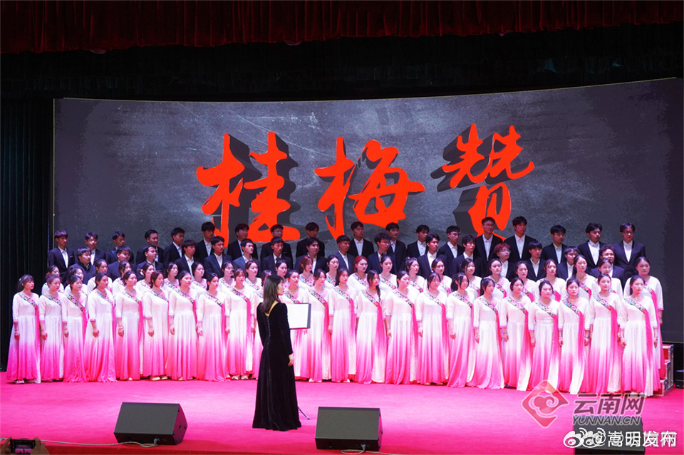 嵩明发布