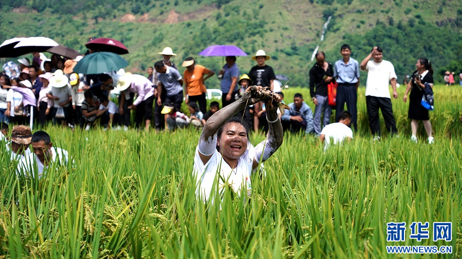 云南省文化和旅游厅