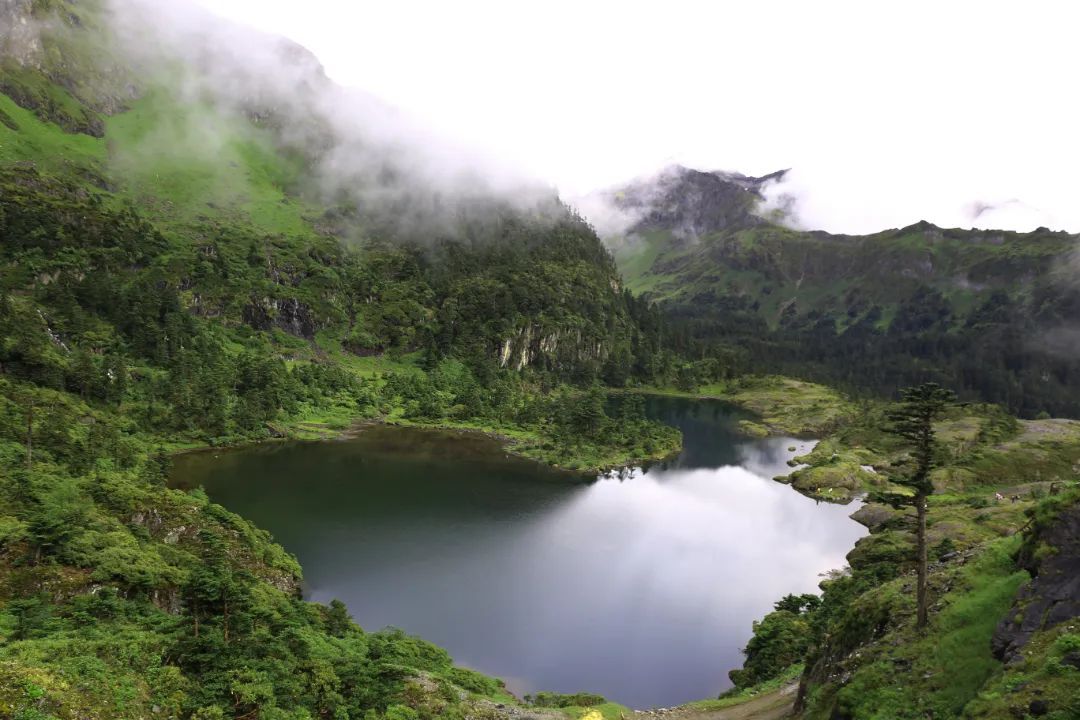 云南省文化和旅游厅