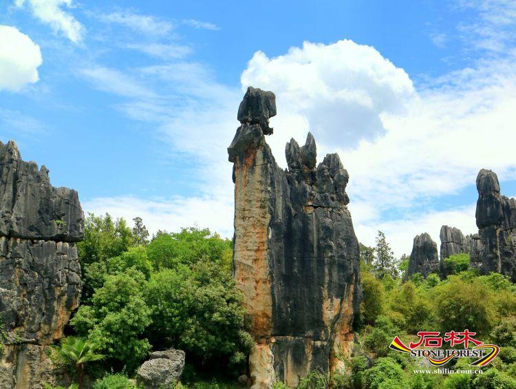 石林旅游网