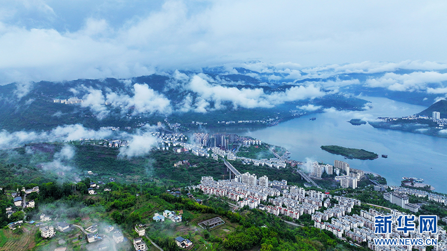 云南省文化和旅游厅