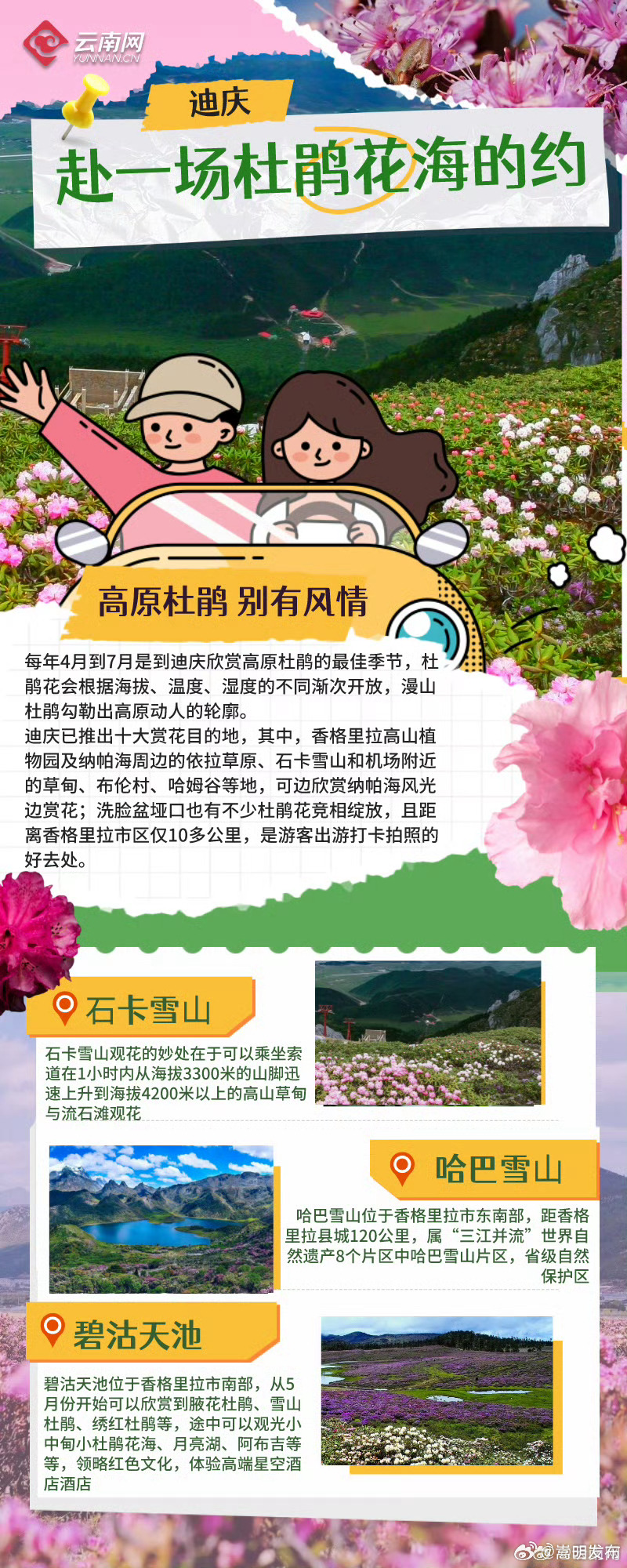 嵩明发布