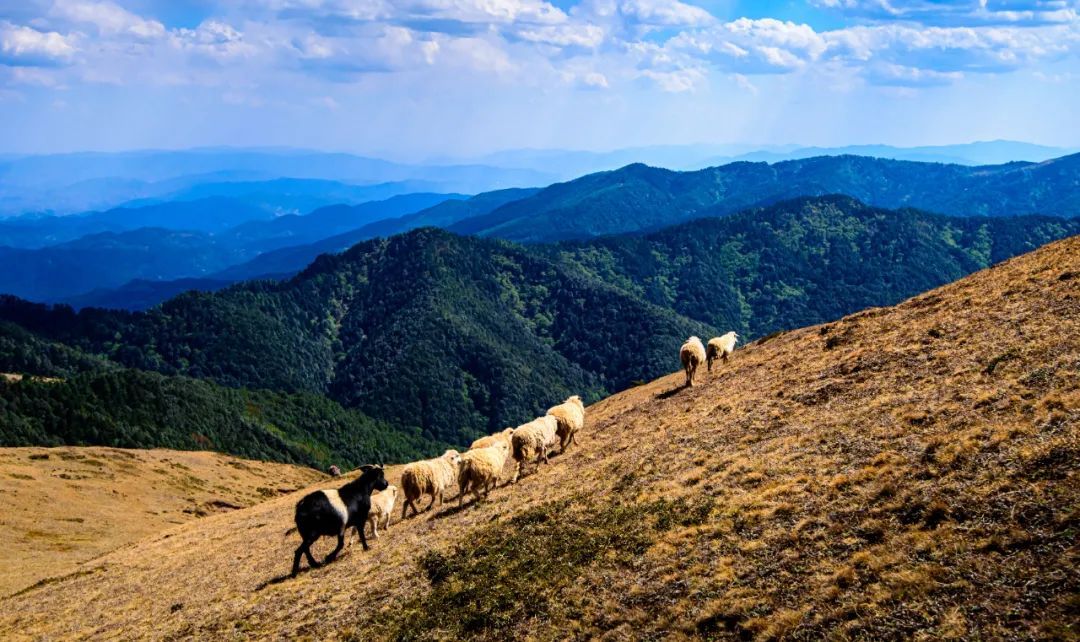 云南省文化和旅游厅