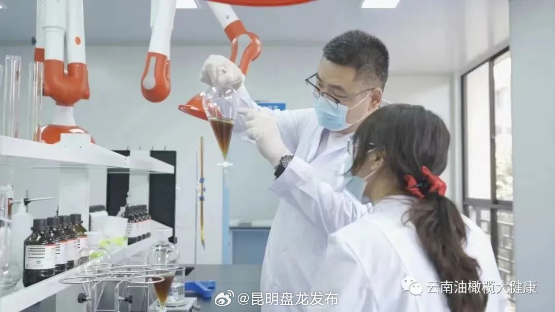 丽江油橄榄新种质选育取得新进展