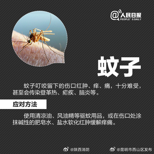 昆明市西山区发布