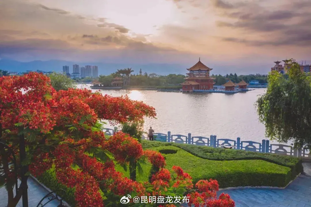 昆明盘龙发布