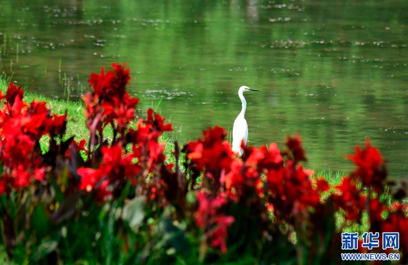 云南省文化和旅游厅