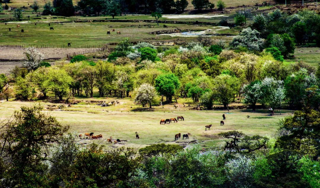云南省文化和旅游厅