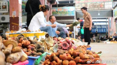云南防控野生菌中毒成效显著