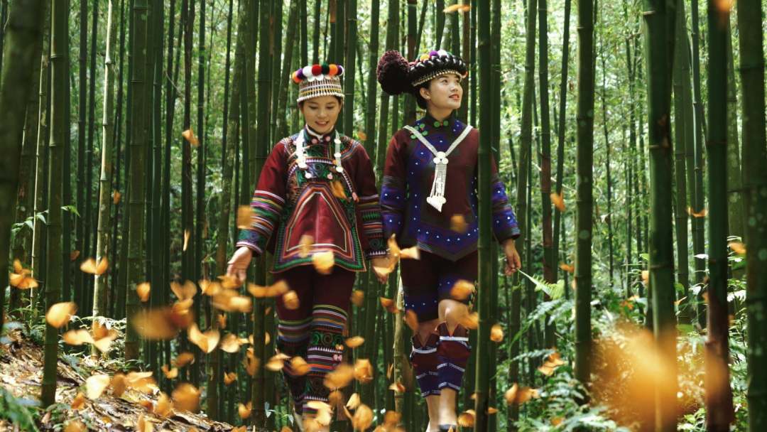 云南省文化和旅游厅