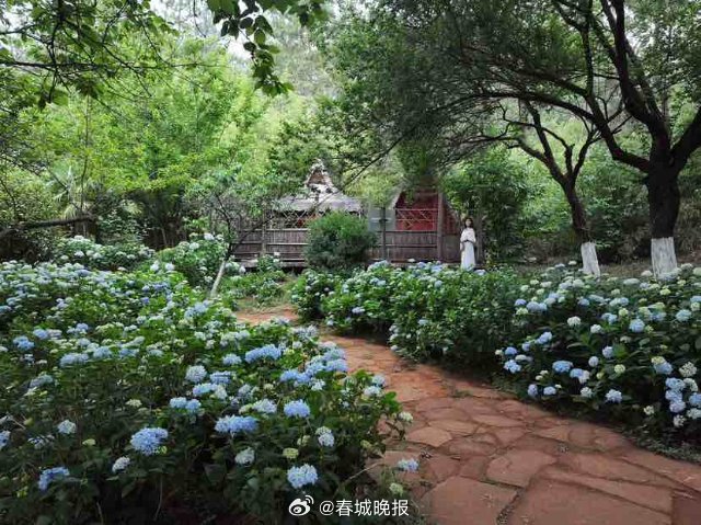 春城晚报