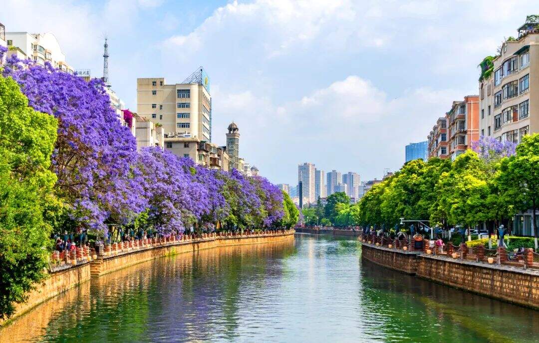 云南省文化和旅游厅